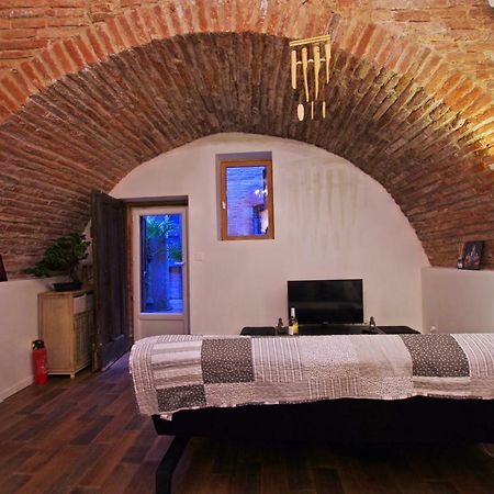 Appartement Le Pialou à Albi Extérieur photo